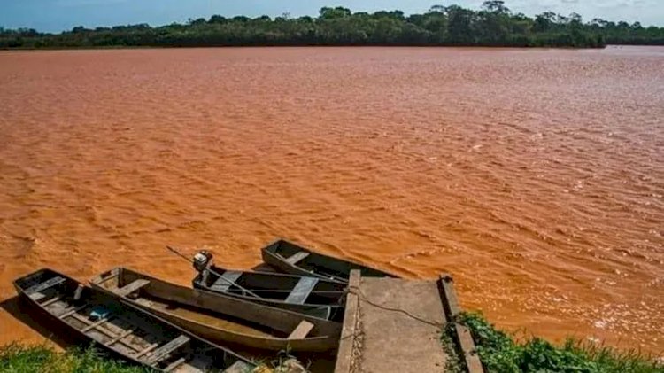 Instituto de Pesca contribui na recuperação dos danos causados pelo desastre em Mariana (MG)