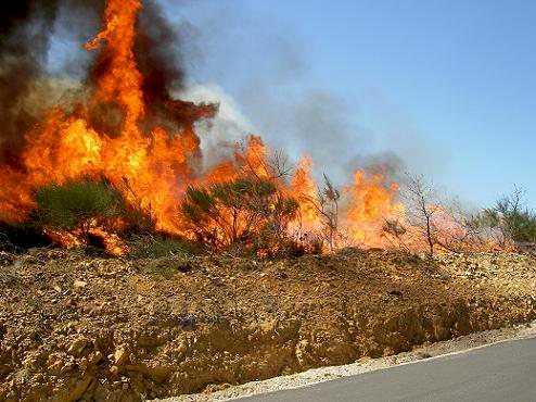 Aracruz está entre as cidades com mais focos de incêndio no ES