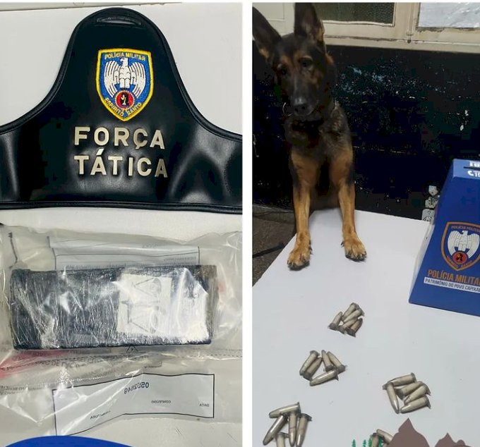 Polícia apreende drogas e suspeitos no Bairro Segato e em Barra do Riacho