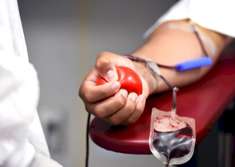 Dia Mundial do Doador de Sangue: ato de solidariedade salva vidas diariamente