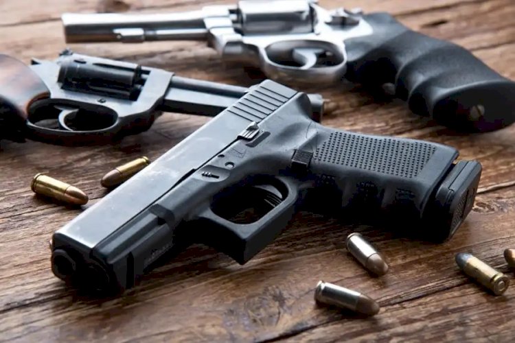 ES é o 2º do país com maior aumento no número de registros de posse de armas