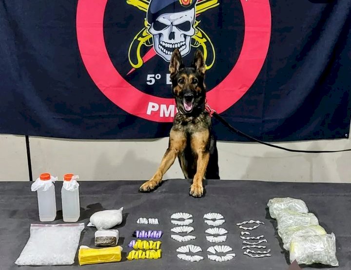 Polícia apreende grande quantidade de drogas nos bairros Guanabara e Nova Conquista em Aracruz