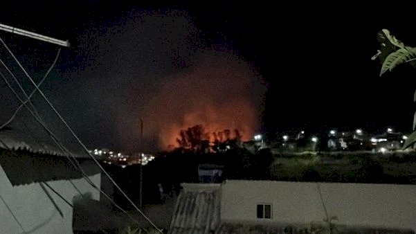 Área de plantação de eucalipto em Aracruz é atingida por incêndio