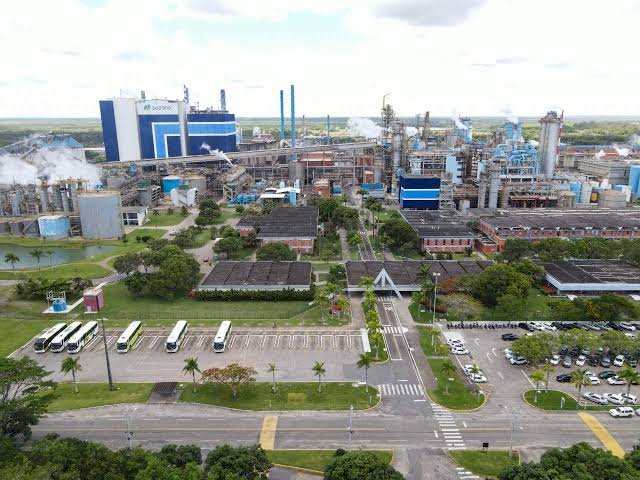 Suzano anuncia investimento bilionário em nova fábrica no município de Aracruz