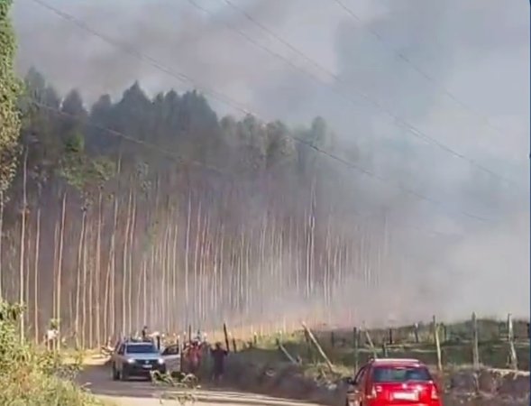 Fumaça de incêndio em plantação de eucaliptos assusta moradores de Aracruz