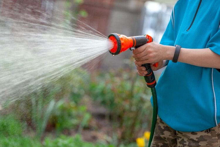 ES recomenda proibir uso de água para lavar calçadas e regar jardins