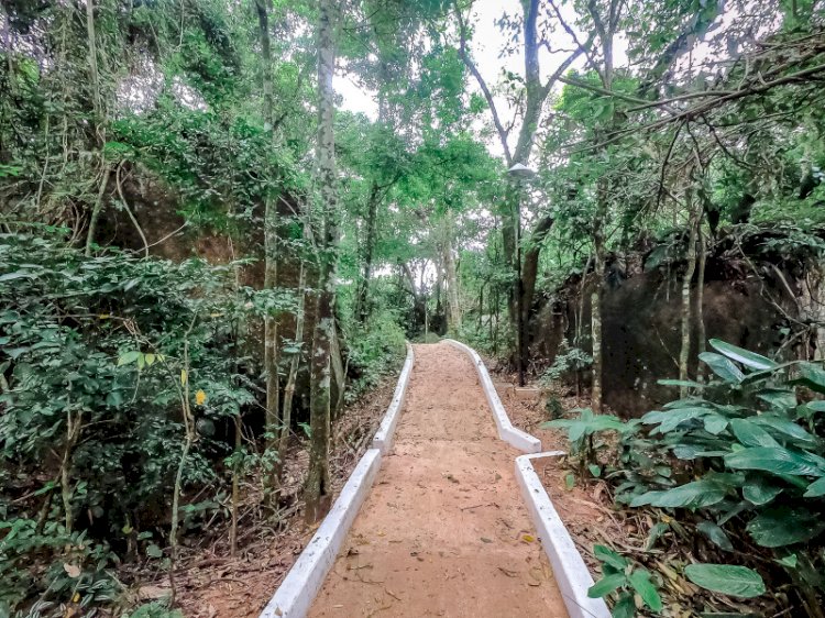 Estudantes de Aracruz têm vivência na Mata Atlântica da Fonte Grande