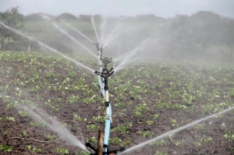 Publicada portaria que cria Polo de Agricultura Irrigada no ES