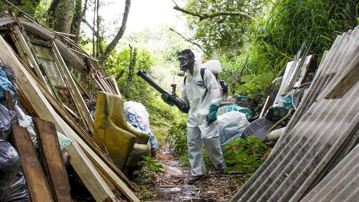 Dois óbitos confirmados Dengue: ES tem 11 mortes em investigação