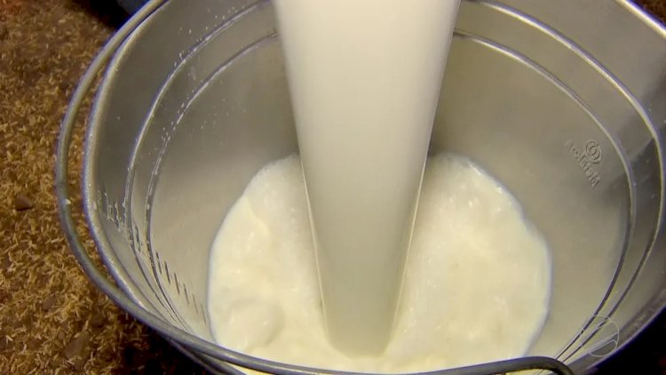ES produz 1 milhão de litros de leite por dia