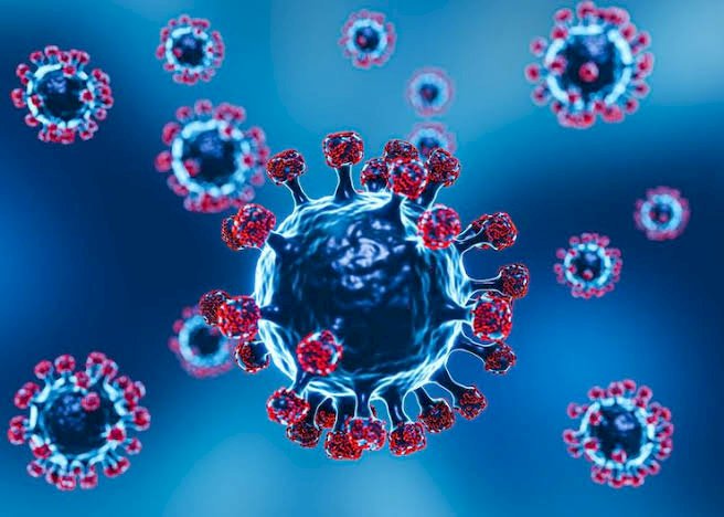 Nova variante do coronavírus é detectada no Espírito Santo