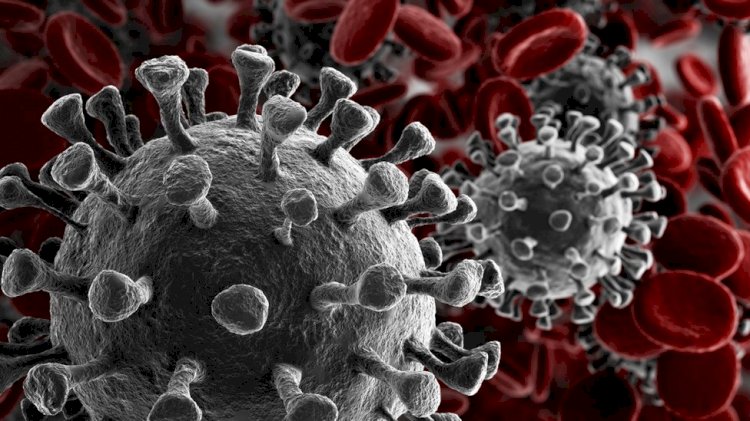 Estudo revela risco de novas pandemias