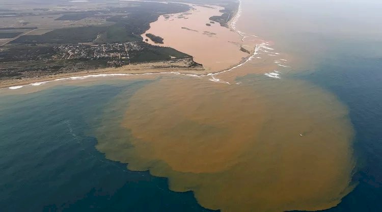Nascentes em perigo: afluentes do Rio Doce podem secar até 2030