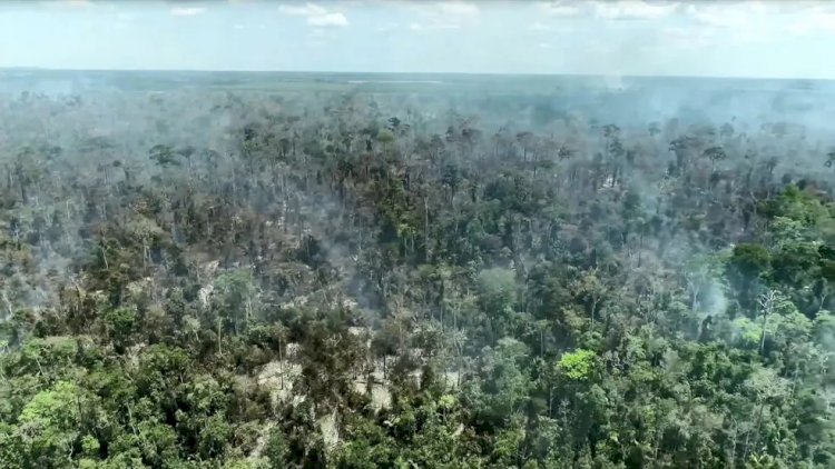 Queimadas aumentam no ES e destroem área equivalente a 85 Maracanãs em incêndios em 2024