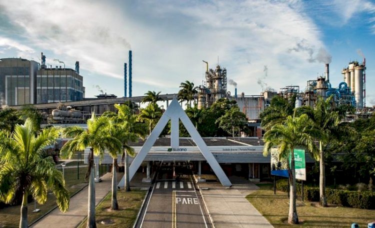 Suzano busca novos talentos para atuar na área de supervisão florestal