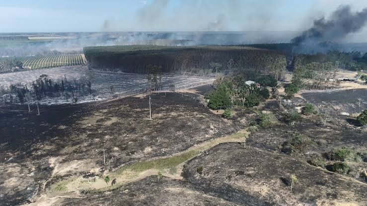 Incêndio deixa cenário de destruição às margens da BR 101 em Aracruz