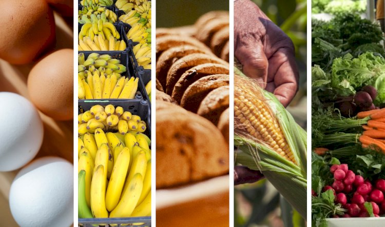 Agricultores capixabas ainda podem se inscrever para vender produtos da merenda escolar em 2025