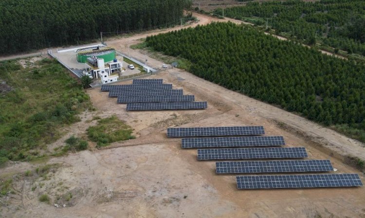 SAAE de Aracruz coloca em operação a primeira Usina Fotovoltaica do município